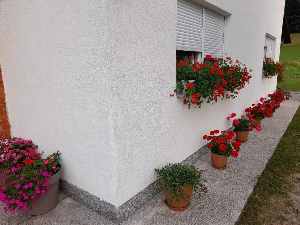 Rooms Danica Donji Babin Potok Экстерьер фото