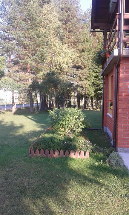 Rooms Danica Donji Babin Potok Экстерьер фото