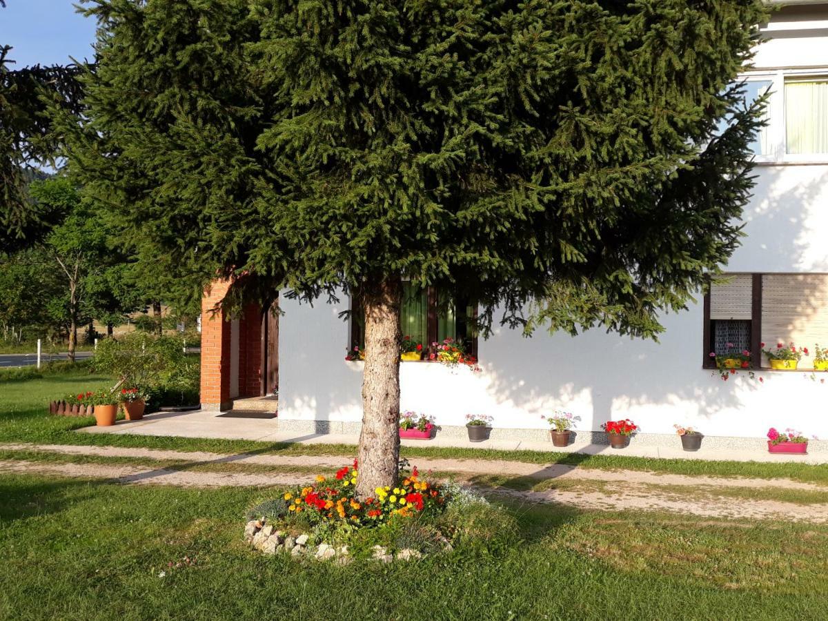 Rooms Danica Donji Babin Potok Экстерьер фото